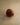 Hazelnut Besan Laddoo